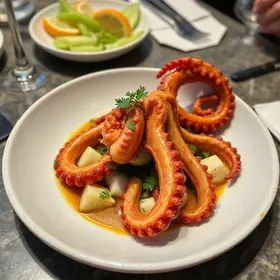 restaurantes para comer polvo em São Paulo