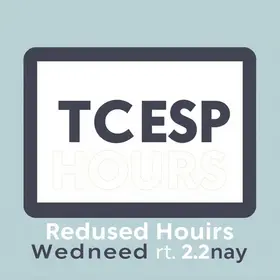 expediente reduzido TCESP