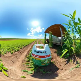 Tour Virtual 360° sobre embalagens de defensivos