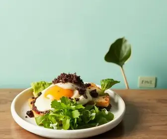 programação gastronômica